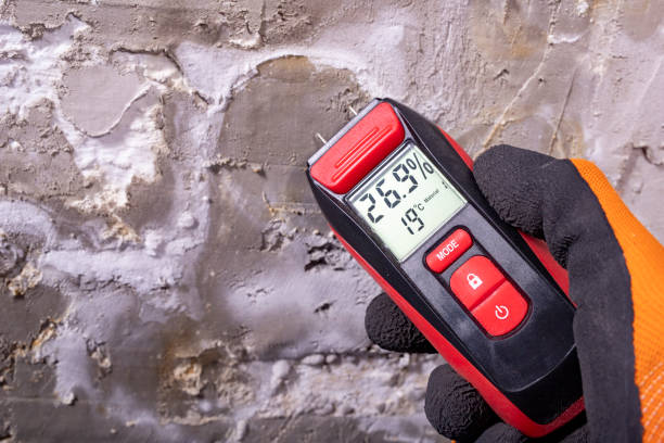 Best Commercial Mold Removal  in Nekoosa, WI