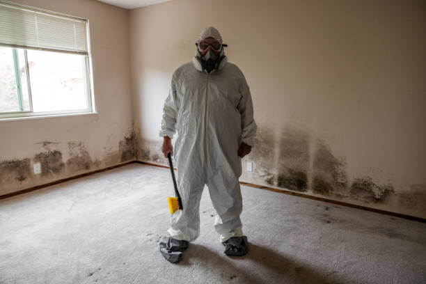 Best Certified Mold Removal  in Nekoosa, WI